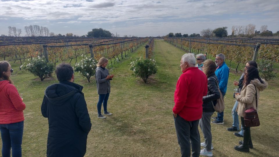 Wine Tour Córdoba - Inclusions of the Tour