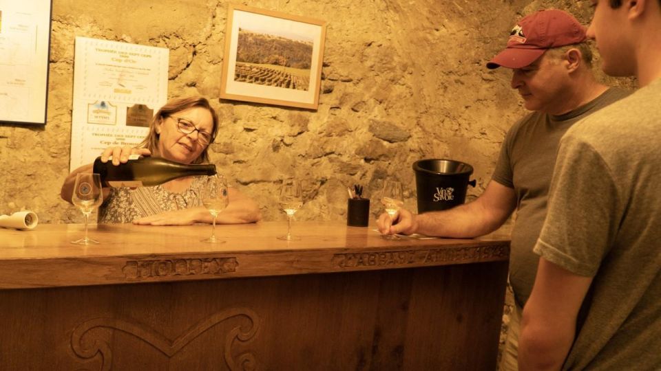Wine Tour With Private Driver - 10 Hours - Itinerary Details