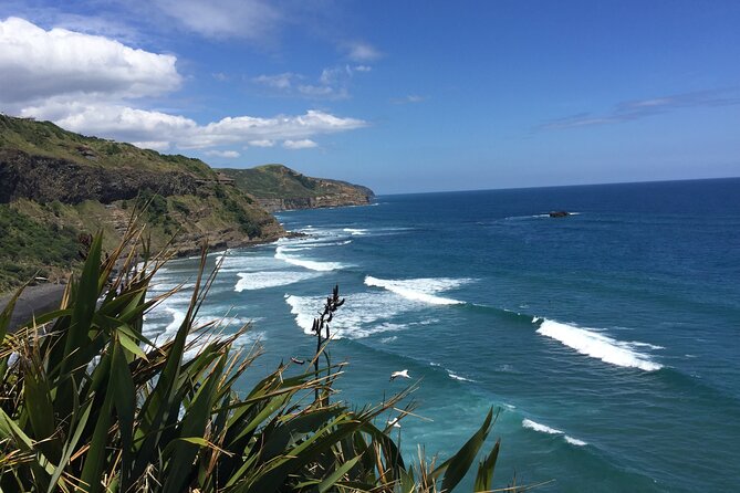 Wineries Honey and Black Sand Beaches From Auckland - Tour Itinerary Details