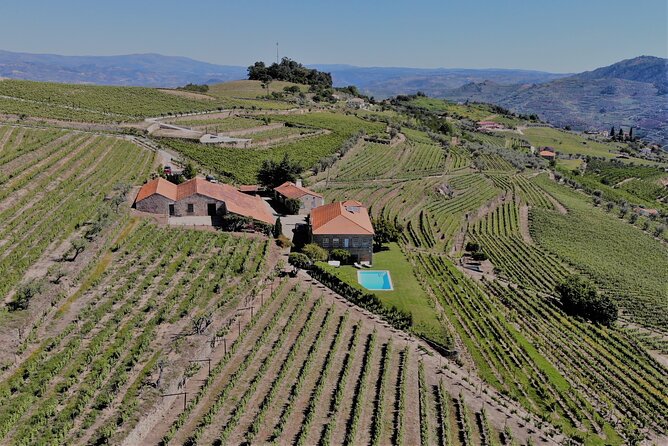 Winery Tour and Wine Tasting at Quinta Da Portela De Baixo in Lamego - Exploring the Winery