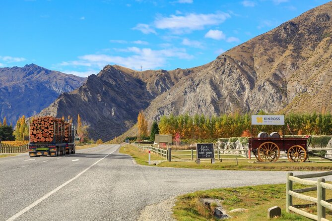 Wines and Views Private Wine Tour of Otago From Queenstown - Participation Requirements