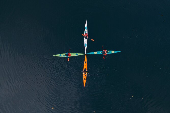 Winter Kayaking and Fika Tour - Islands of Stockholm Archipelago - Staying Warm and Safe