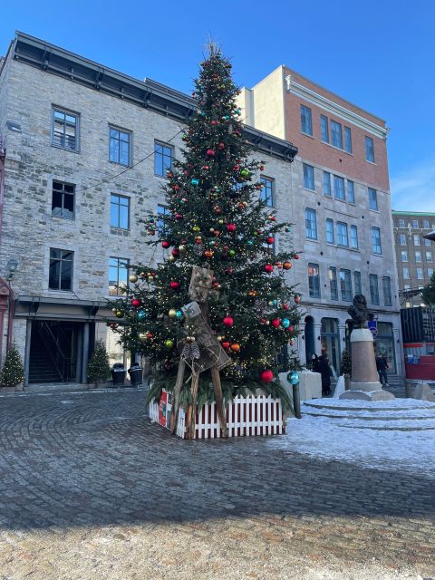 Winter Sport and Fun Tour in Quebec City - Tour Inclusions