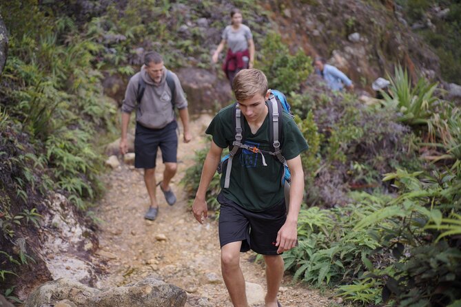 Wonderful 7 Days North Sumatra Tour (Include: 2 Days 1 Night Jungle Trekking) - Jungle Trekking Experience