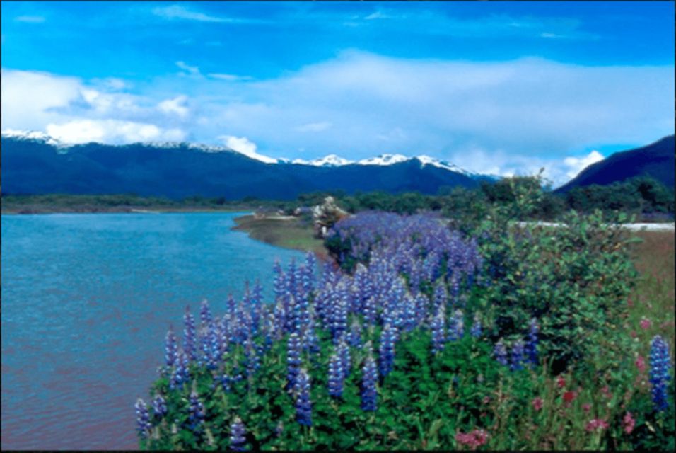 Wrangell: Stikine River Boat Tour - Group Size and Language