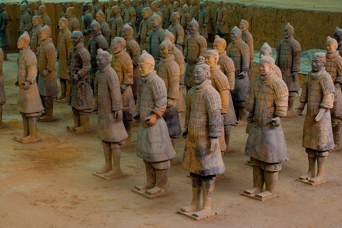 Xian in One Day: Day Trip From Shanghai by Air - Terra-Cotta Warriorrs & Horses - Accessibility Considerations