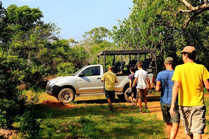 Yala Full Day Leopard Safari Tour With Picnic Lunch - Pickup and Schedule Details