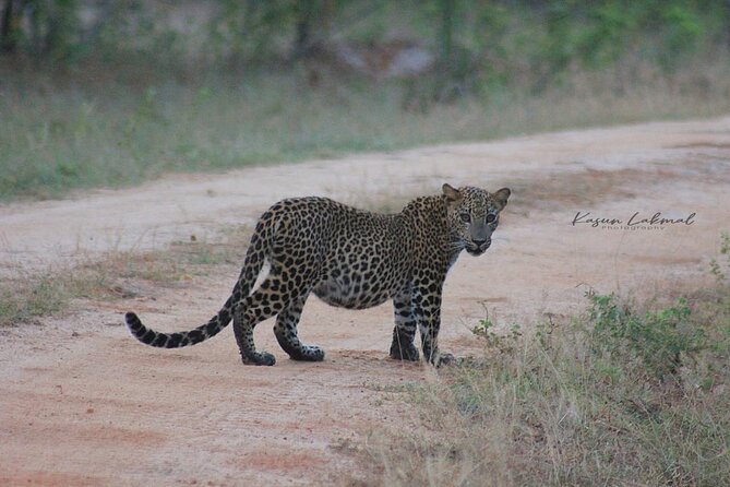 Yala Safari Private Day Tours in Yala National Park - Meeting and Pickup Locations