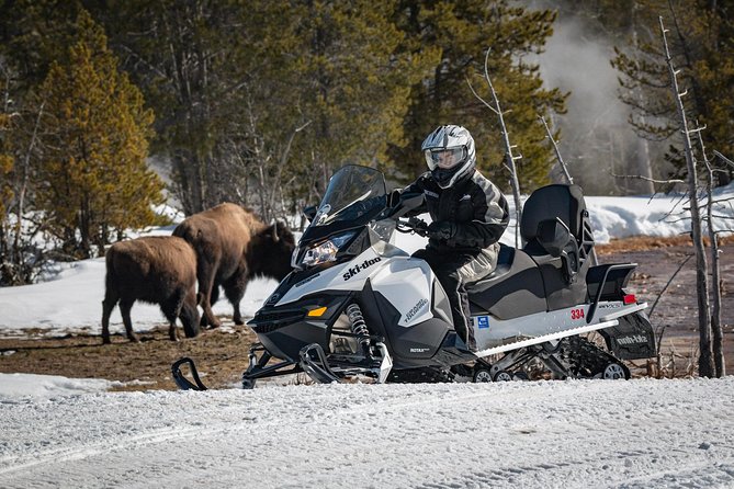 Yellowstone Old Faithful Full-Day Snowmobile Tour From Jackson Hole - Participant Requirements