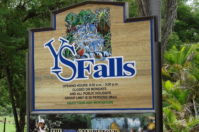 YS Falls, Black River Safari, and Floyds Pelican Bar Day-Trip (Transportation) - Entrance Fees and Payments