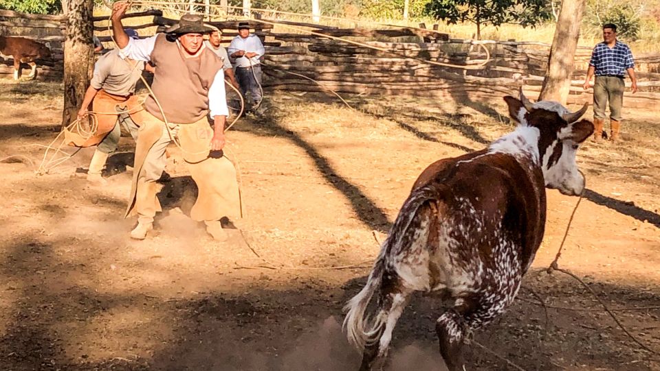 Yungas: Full Day With Gauchos - Horseback Riding Adventures