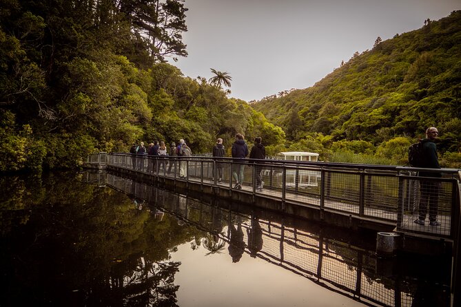 Zealandia - Twilight Guided Eco Wildlife Tour - Guided Walking Tour Experience