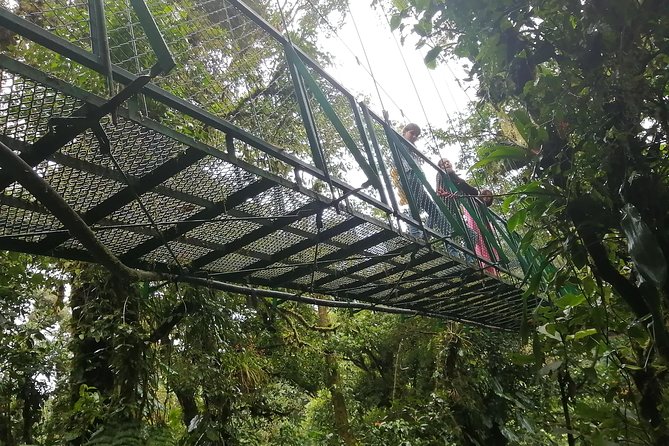 Zip Line, Hot Springs, Horses and More Aventure. - Transportation and Pickup Details