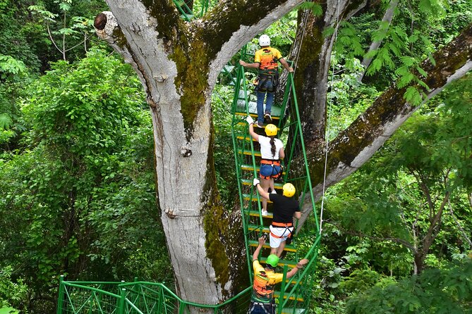 Zipline at Skyline Canopy Tour Guanacaste Costa Rica - Booking Information