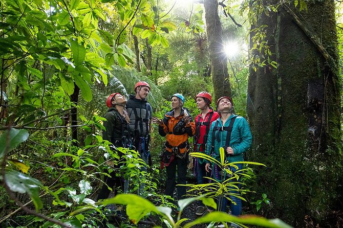 Ziplining Forest Adventure - The Original Canopy Tour Rotorua - Safety Measures in Place