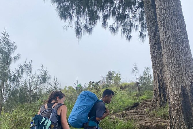 3Days-2Nights Explore Mt Rinjani To Summit, Lake & Hot Spring - Overview of Mt Rinjani Trek