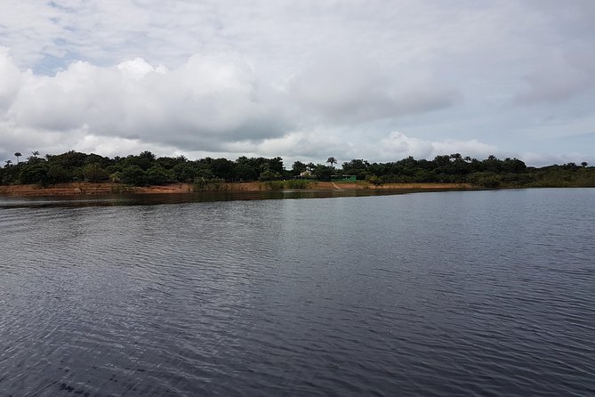 4 Days Amazon Jungle Adventure Tour - Overview of the Tour