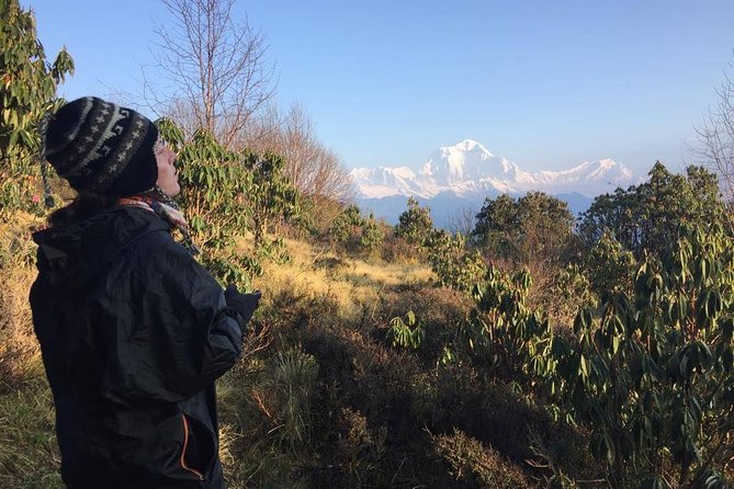 4 Days Poon Hill Trek - Key Points