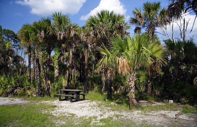 4-Hour Swamp Buggy Adventure Tour in Florida - Key Points