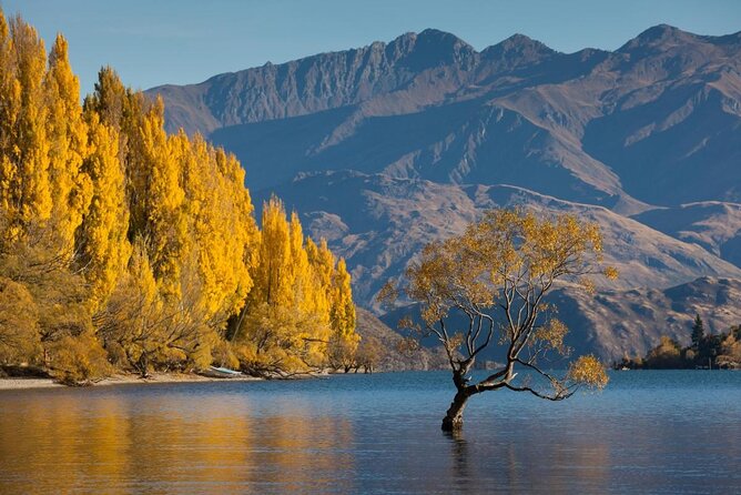 4-Hour Wanaka Scenic Hot Air Balloon Flights - Key Points