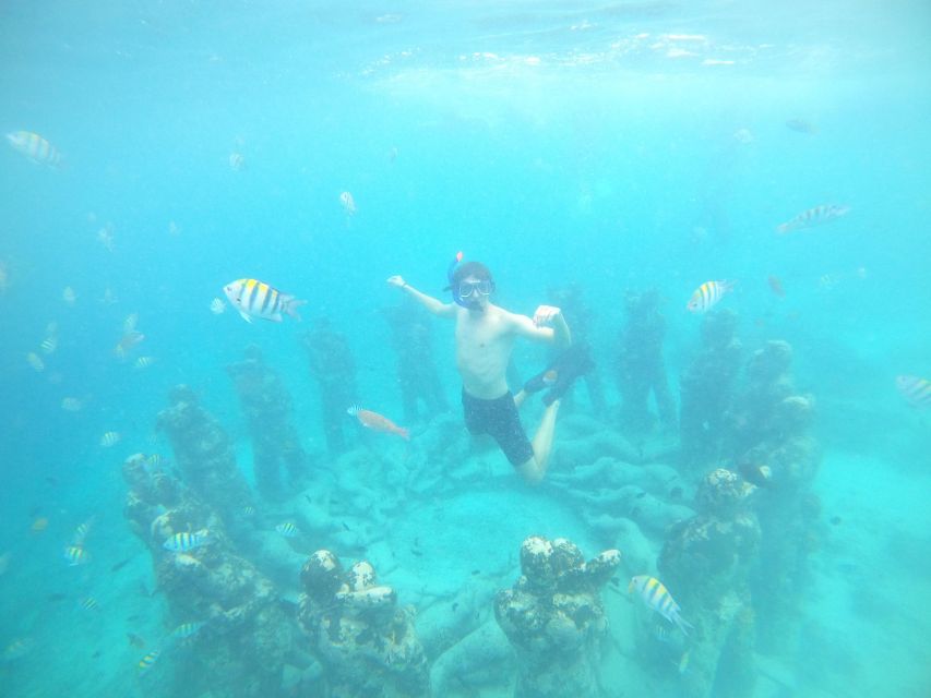 4 Hours Snorkeling 3 Gilis ( Trawangan,Meno, Gili Air) - Key Points