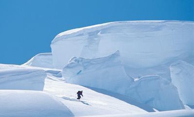 45-Minute Glacier Highlights Ski Plane Tour From Mount Cook - Key Points