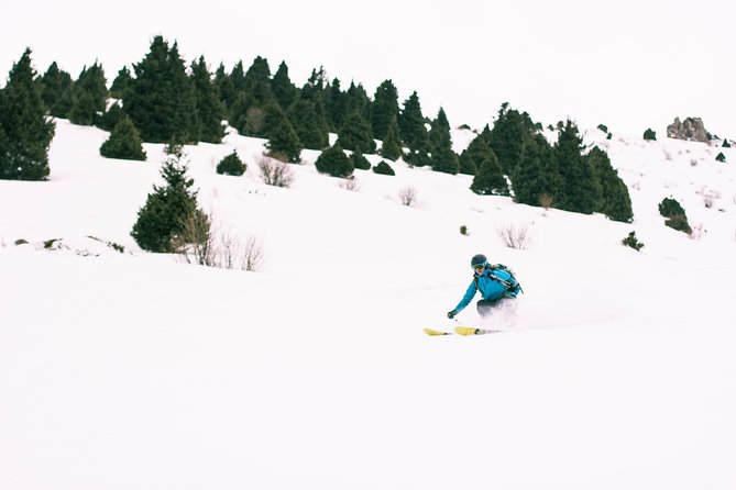 1-day Backcountry Tour - Pricing Information