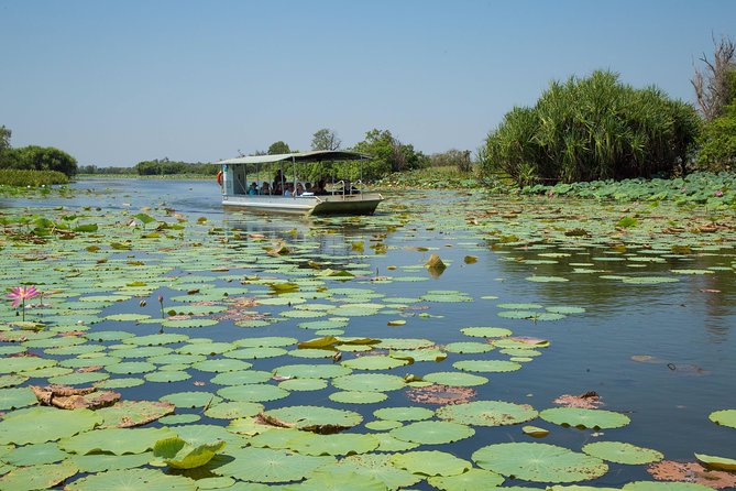 1 Day Corroboree Billabong Wetland Experience Including 2.5 Hour Cruise + Lunch - Transportation Details