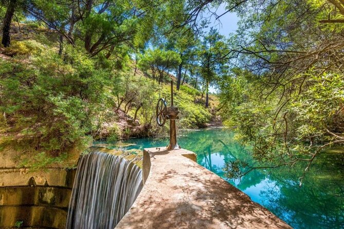 1 Day Rhodes Island Tour With Olive Oil, Honey and Wine Tasting - Guide and Transportation