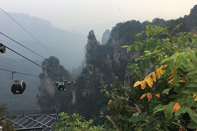 1 Day Trip to Zhangjiajie National Forest Park & Avatar Mountain - How to Book Your Tour