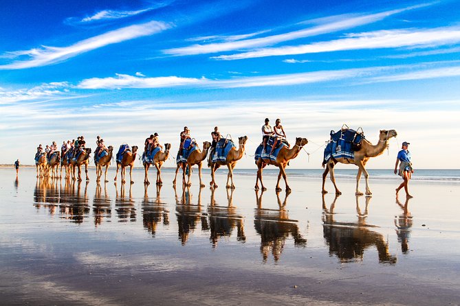 1 Hour Broome Sunset Camel Tour - Booking Information