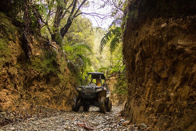 1 Hour Enchanted Forest Track - BUGGIES - Accessibility Features