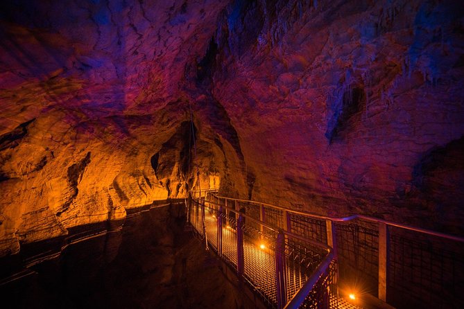 1-Hour Guided Tour of Aranui Cave Waitomo - Visitor Reviews