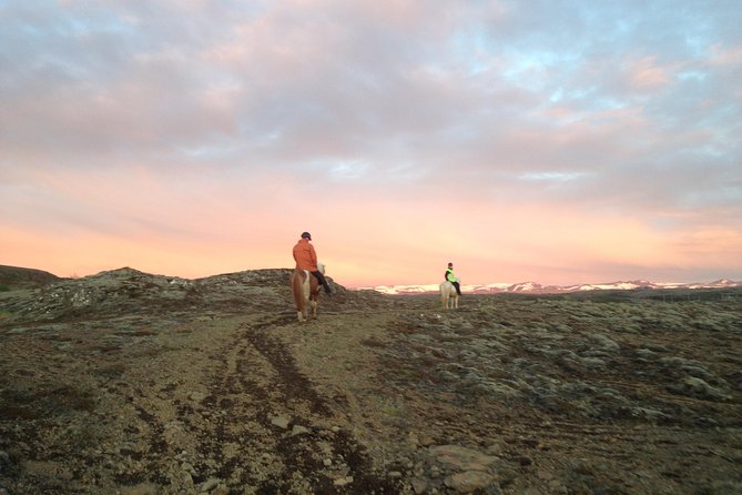 1+ Hour Private Horse Riding Tour From Reykjavík/Mosfellsbær - Booking Information and Pricing