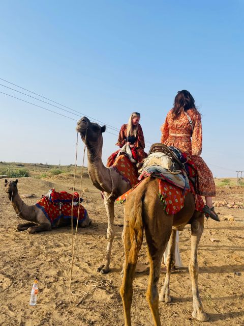 1 Night 2 Day Thar Desert Experience & Village Lifestyle - Meals and Dining Experience