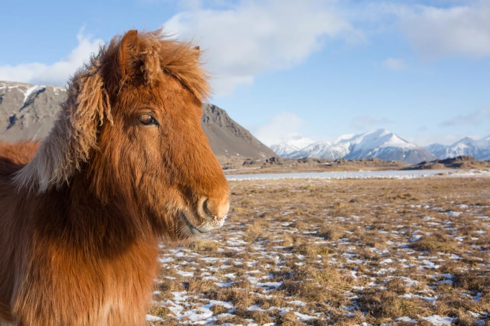 1 Week Luxury Iceland Aurora Borealis Photography Workshop - Daytime Activities