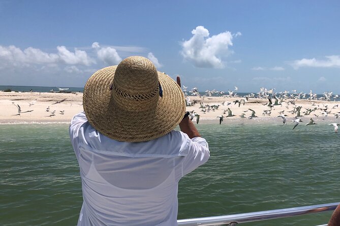 10,000 Islands Excursion Small-Group 3.5 Hour Dolphin & Shelling Boat Tour - Shelling Adventure Details
