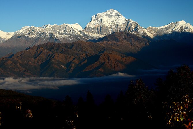12-DAY Nepal Adventure Trek With Jungle Safari - Pickup and Transfer Details