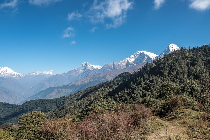 12 Days Trek Tour in Nepal - Health and Safety Guidelines