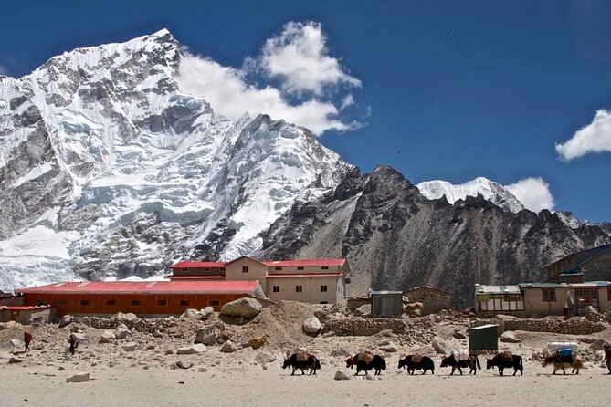 14 Days Everest Base Camp Trek - Professional Guides and Porters