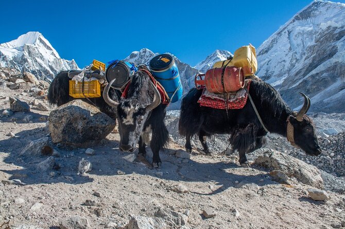 14 Days Private Tour Everest Base Camp Trek - Trekking Permits and Fees