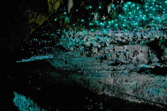 2 Day Hobbiton Movie Set, Waitomo Caves and Rotorua Private Tour From Auckland - Accommodation Information