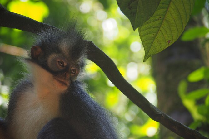 2-Day Jungle Trekking & Rafting in North Sumatra - Additional Information