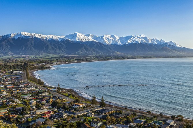 2 Day Kaikoura Whale and Dolphin Tour From Christchurch - Whats Included