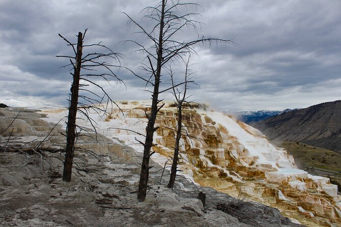 2-Day Yellowstone National Park Upper and Lower Loop Exploration - Wildlife Viewing Opportunities