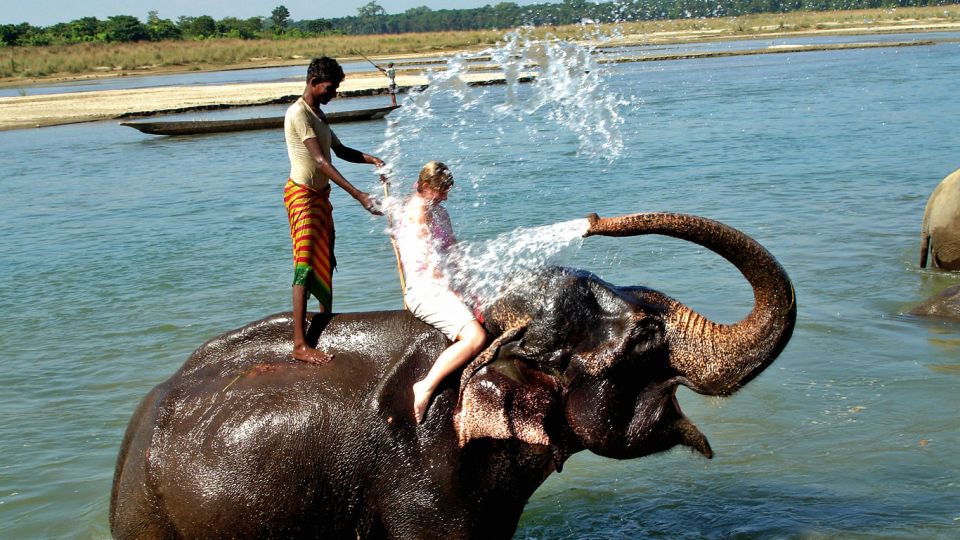 2 Days Chitwan Safari Tour - Inclusions and Benefits