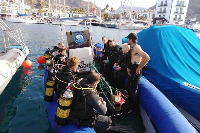 2 Dive Package for PADI Qualified Divers in Gran Canaria - Booking and Reviews