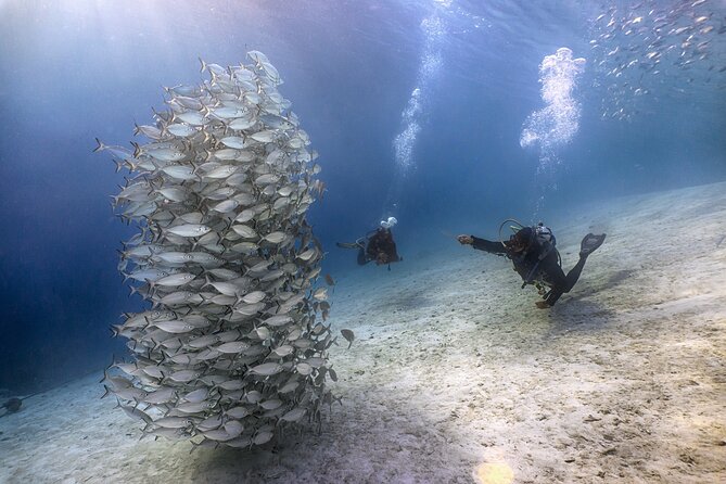 (2 Dives) Discover Scuba Diving Kota Kinabalu - Meeting and Transportation Information