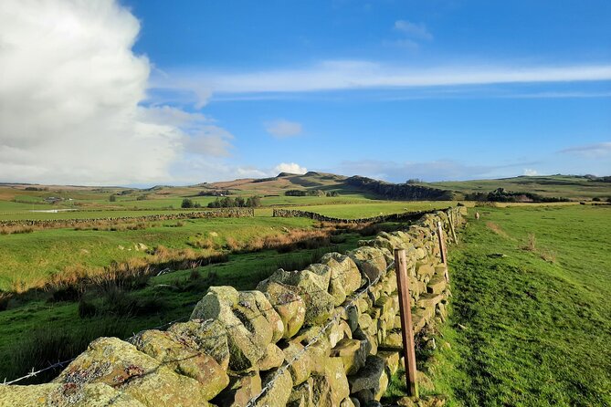 2 Hour Guided Tour of Hadrians Wall - Tips for the Tour