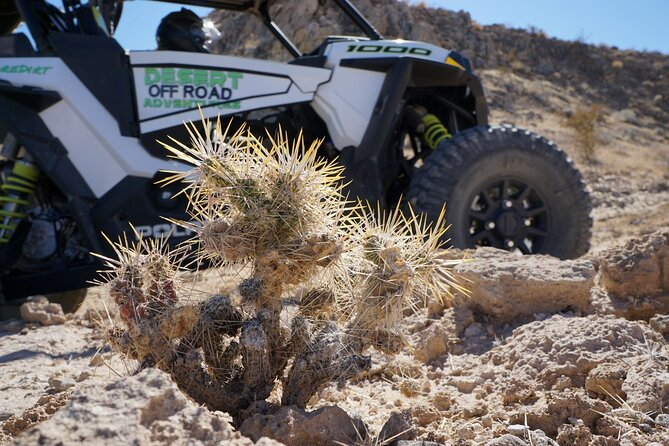2 Hour Las Vegas Desert Off Road Adventure - Age and Health Requirements
